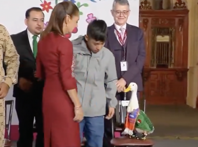 Vejigas Para Nadar del Bienestar